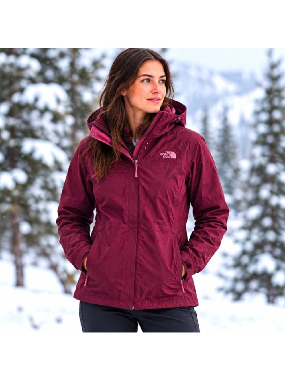 North Face DryVent Fleece-Lined Hooded Jacket Womens Small Burgundy